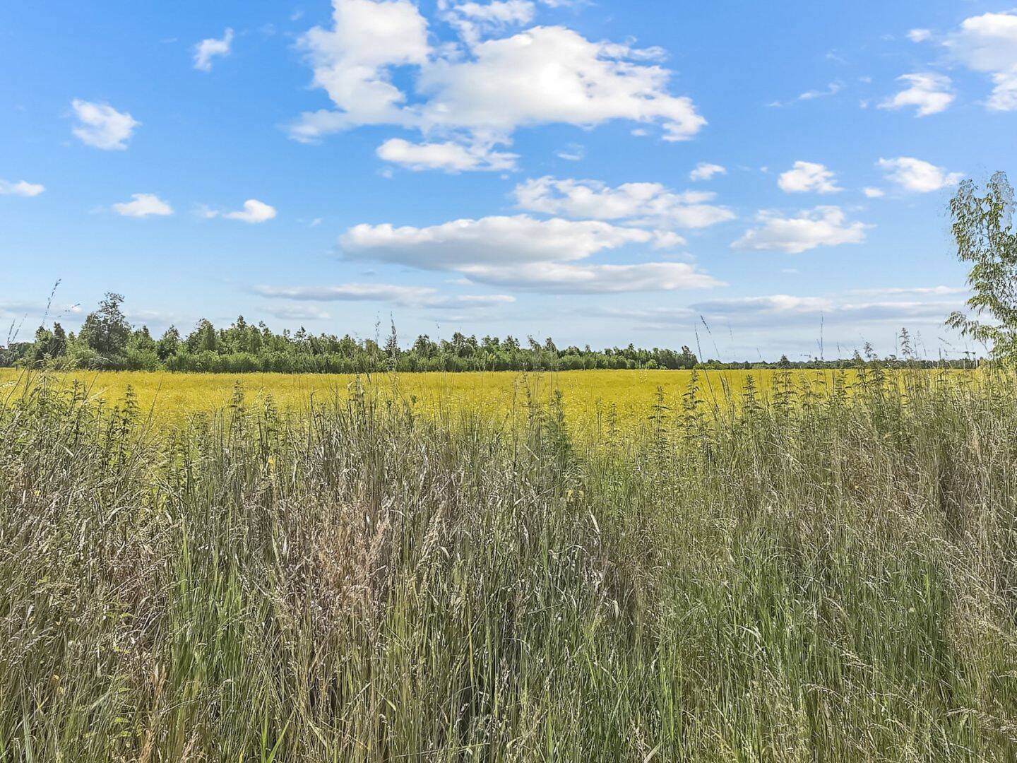 Property thumbnail 19