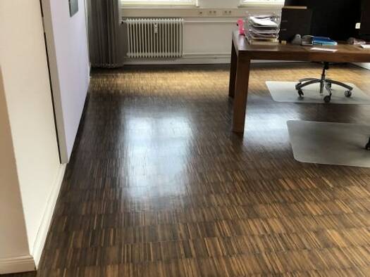 Bürofläche zur Miete provisionsfrei 250 € 17 m² Bürofläche Carl-Ronning-Strasse 1 Altstadt Bremen 28195