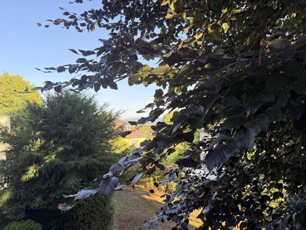 Wohnung zur Miete 1.600 € 3,5 Zimmer 115 m² 1. Geschoss Stadtgebiet Göppingen 73033