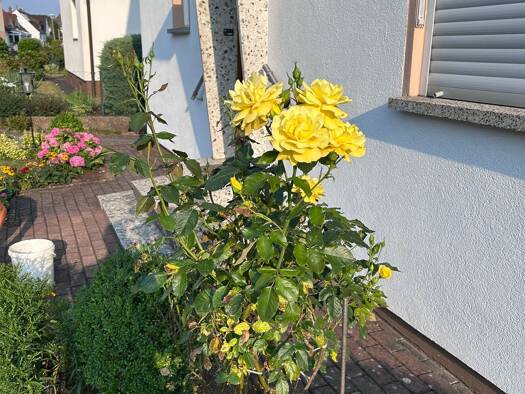 Wohnung zur Miete 890 € 3 Zimmer 100 m² Geschoss EG/2 frei ab 01.10.2026 Am Wehr 17 a Allersberg Allersberg 90584
