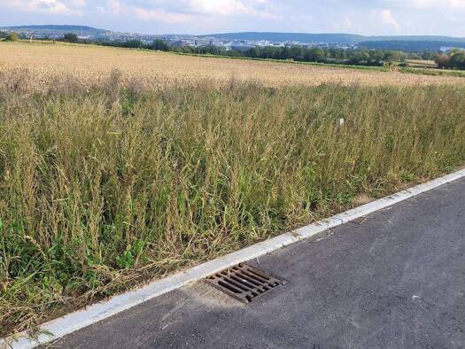 Grundstück zum Kauf 672.000 € 420 m² Grundstück Hirschlanden Ditzingen 71254