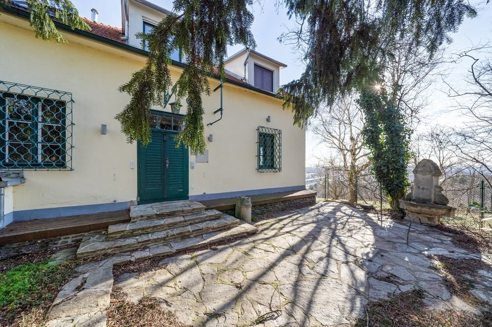 Einfamilienhaus zum Kauf 6.800.000 € 11 Zimmer 380 m²<br/>Wohnfläche 2.177 m²<br/>Grundstück Wien, Döbling 1190