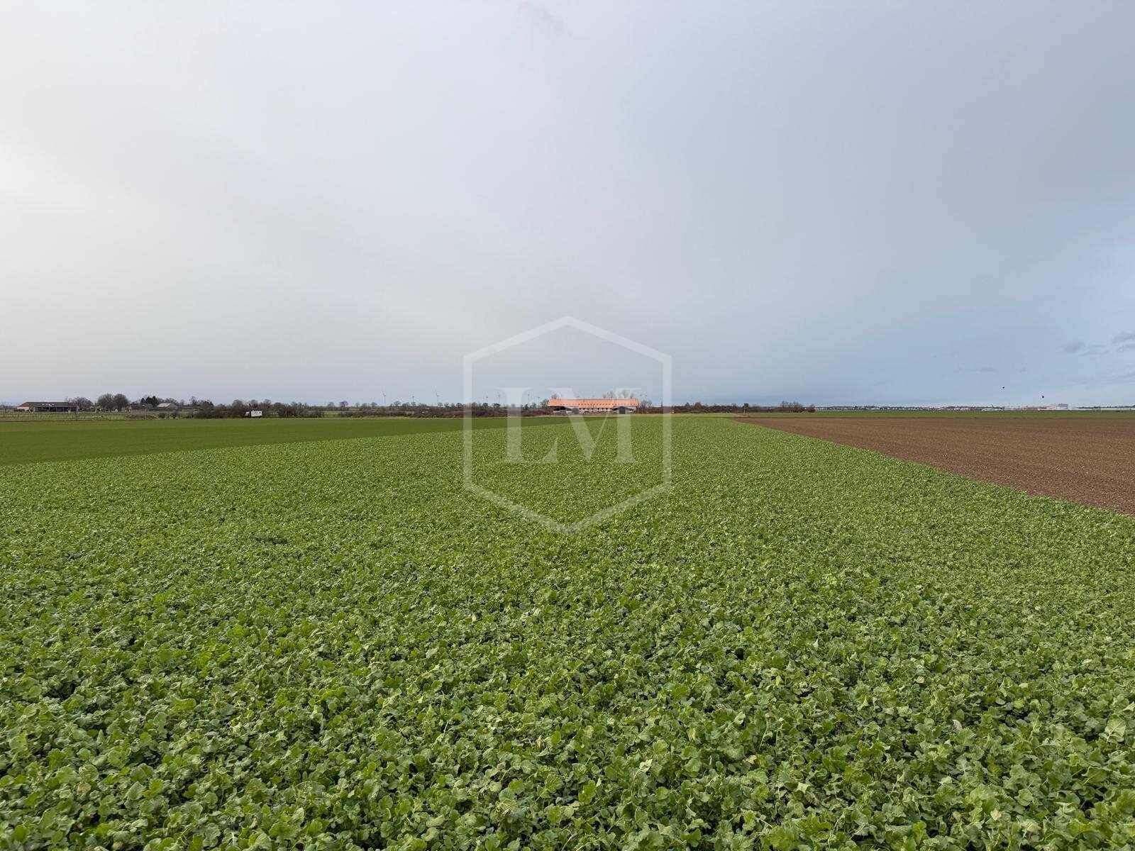 Landwirtschaftliche Fläche zum Kauf 120.000 € 9.932 m²<br/>Grundstück Weilerswist Weilerswist 53919