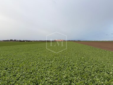 Landwirtschaftliche Fläche zum Kauf 120.000 € 9.932 m² Grundstück Weilerswist Weilerswist 53919