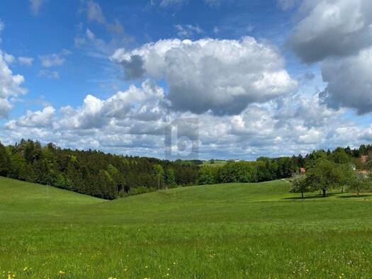 Grundstück zum Kauf 79.000 € 813 m² Grundstück Maria Schmolln 5241