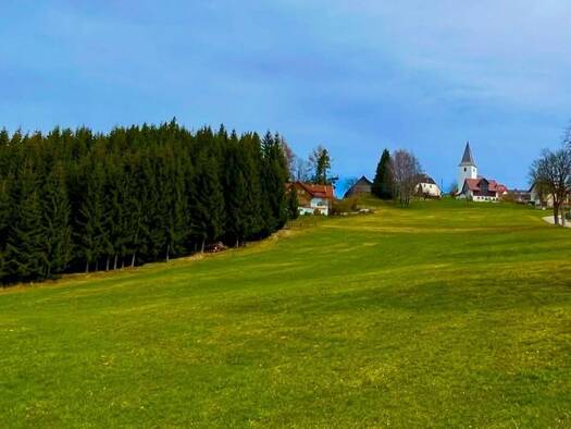 Grundstück zum Kauf 86.850 € Wolfsberg 9441