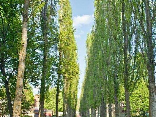 Wohnung zur Miete 580 € 3 Zimmer 61 m² 2. Geschoss Völpker Str. 15 Stadtfeld West Magdeburg 39110