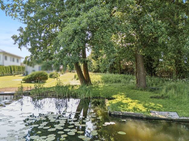 Grundstück zum Kauf provisionsfrei 780.000 € 1.500 m² Grundstück frei ab sofort Wernsdorf Königs Wusterhausen 15713