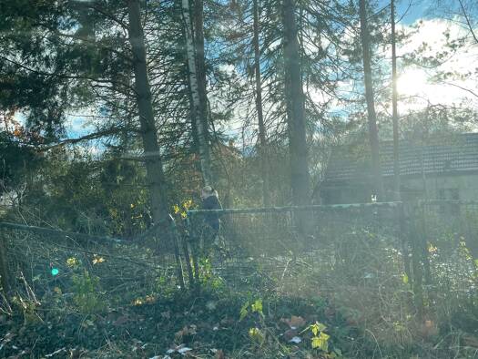 Freizeitgrundstück zum Kauf provisionsfrei 73.430 € 1.614 m² Grundstück Karl Liebknecht Str 134 Schulzendorf 15732