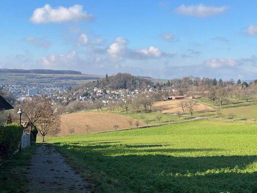 Reihenendhaus zum Kauf 515.000 € 4,5 Zimmer 111,2 m² 200 m² Grundstück Salzert Lörrach 79540