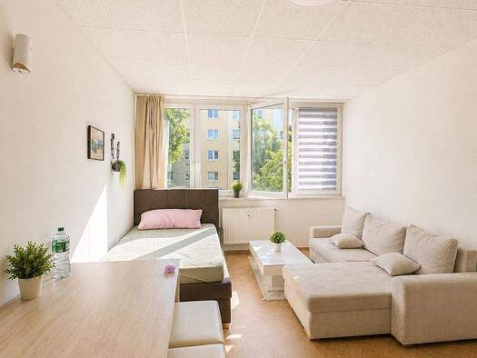 Studio zum Kauf 139.000 € 1 Zimmer 29 m² frei ab sofort Steigerwaldstraße 29 Schoppershof Nordöstliche Außenstadt 90409