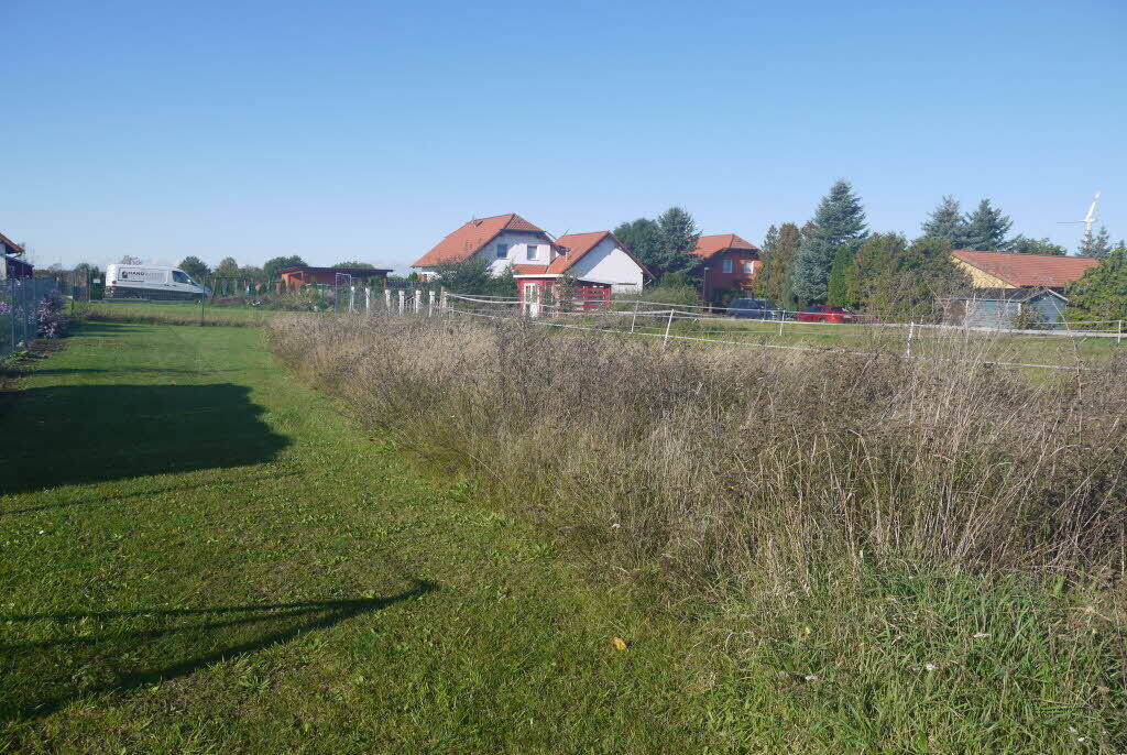 Einfamilienhaus zum Kauf - Erstbezug - Ansicht 3