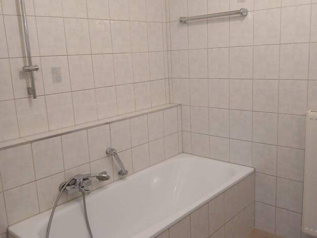 Wohnung zur Miete 290 € 1 Zimmer 50 m² UG frei ab sofort Otto-Schmeil-Weg 1 Schwoitsch Kabelsketal 06184