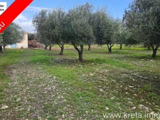 Land-/Forstwirtschaft zum Kauf 38.000 € 5.500 m² Grundstück Tympaki 702 00