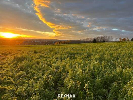 Einfamilienhaus zum Kauf 319.000 € 5 Zimmer 162 m² 1.150 m² Grundstück St. Florian am Inn 4782