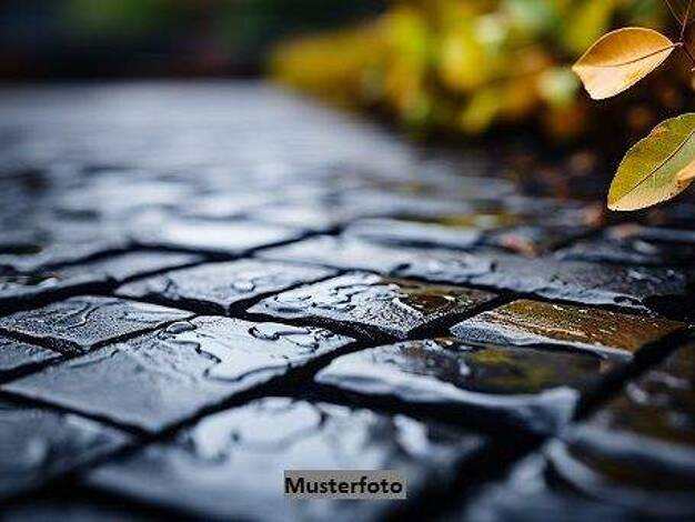 Grundstück zum Kauf 2.120 € 229 m² Grundstück Emmerstedt Helmstedt 38350