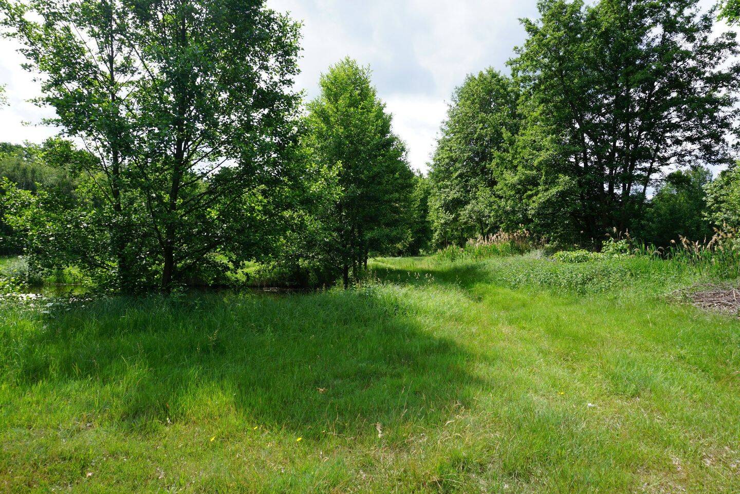 Land-/Forstwirtschaft zum Kauf - Ansicht 5