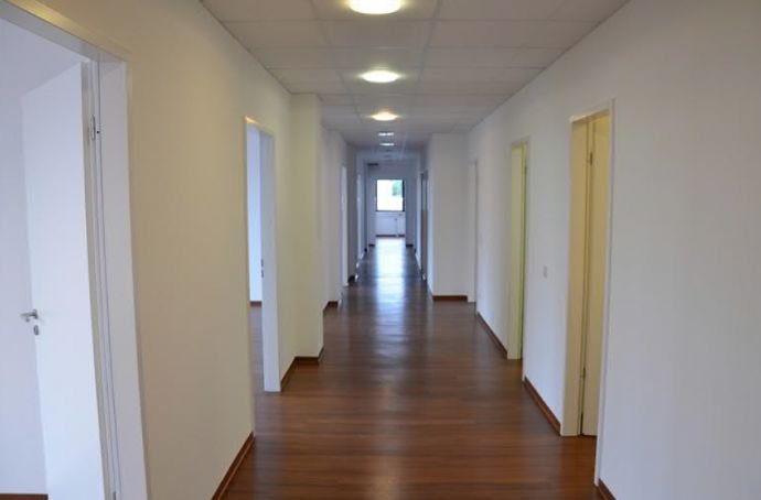 Büro-/Praxisfläche zur Miete 7,90 € 338,2 m²<br/>Bürofläche Hahnwald Köln 50996