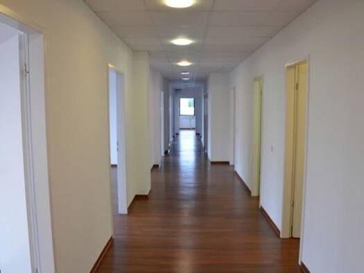 Büro zur Miete 7,90 € 338,2 m² Bürofläche Hahnwald Köln 50996