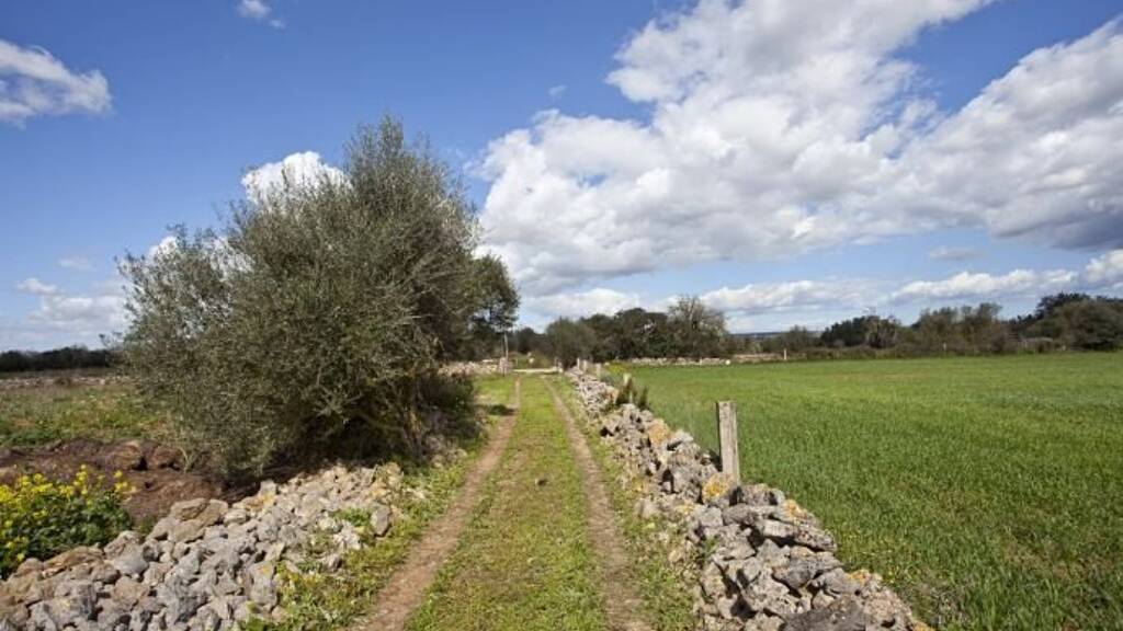 Haus zum Kauf 395.000 € 3 Zimmer 27.837 m² Grundstück Manacor