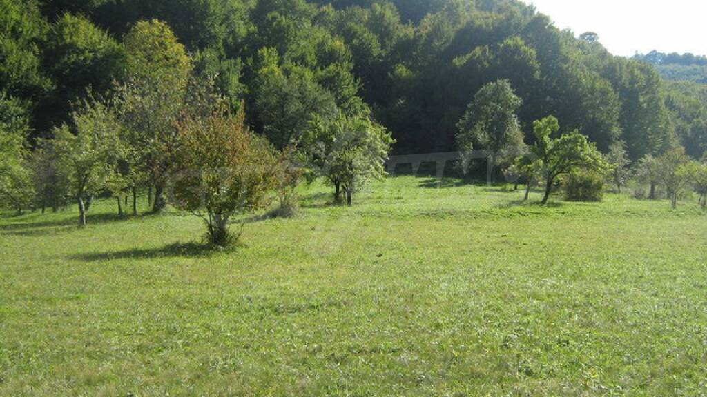 Land-/Forstwirtschaft zum Kauf 128.000 € Ribaritsa