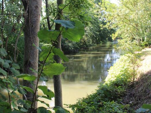 Einfamilienhaus zum Kauf 4 Zimmer 109 m² 430 m² Grundstück Reichstorf Eichendorf 94428
