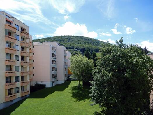 Wohnung zum Kauf 35.000 € 1 Zimmer 37 m² Bad Harzburg 38667
