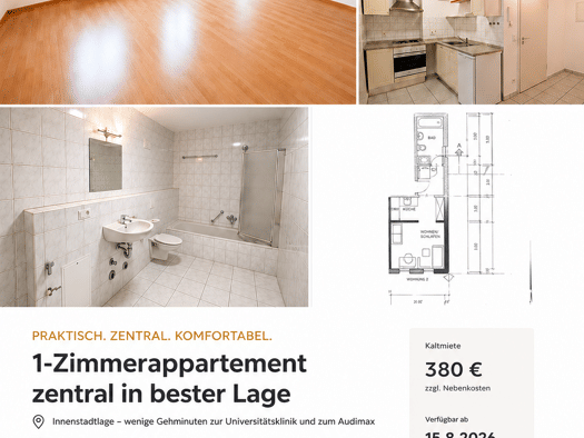 Wohnung zur Miete 380 € 1 Zimmer 42 m² Geschoss EG/2 frei ab 15.08.2026 Innenstadt Erlangen 91054