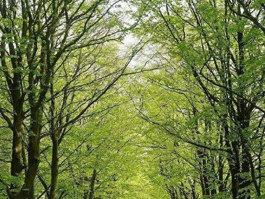 Wohnung zum Kauf provisionsfrei 464.125 € 3 Zimmer 117,5 m² EG Ullersdorf Radeberg 01454