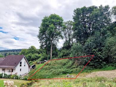 Grundstück zum Kauf 38.000 € 627 m² Grundstück Kronenburg Dahlem 53949
