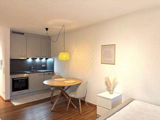 Wohnung zur Miete 750 € 1 Zimmer 30 m² Geschoss 1/2 frei ab 01.02.2026 Leimen 69181