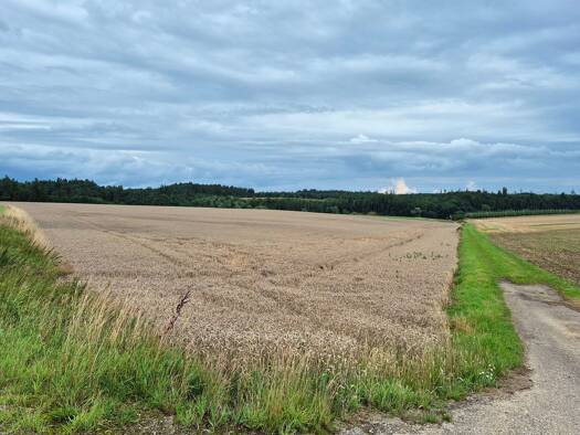 Landwirtschaftliche Fläche zum Kauf 59.020 m² Grundstück Ampertshausen Schweitenkirchen 85301