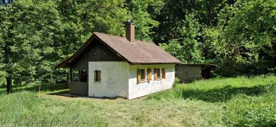 Haus zum Kauf 75.000 € 2 Zimmer 30 m² 5.830 m² Grundstück frei ab sofort In der Birkenbach Battweiler 66484