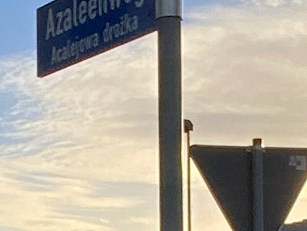 Grundstück zum Kauf 783 m² Grundstück Azaleenweg 18 Spremberg 03130