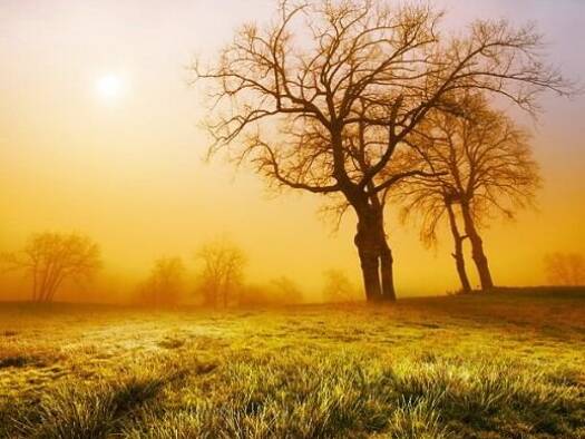 Grundstück zum Kauf 450.500 € 399 m² Grundstück Schweinheim Aschaffenburg 63743