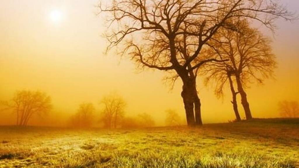 Grundstück zum Kauf 450.500 € 399 m² Grundstück Schweinheim Aschaffenburg 63743