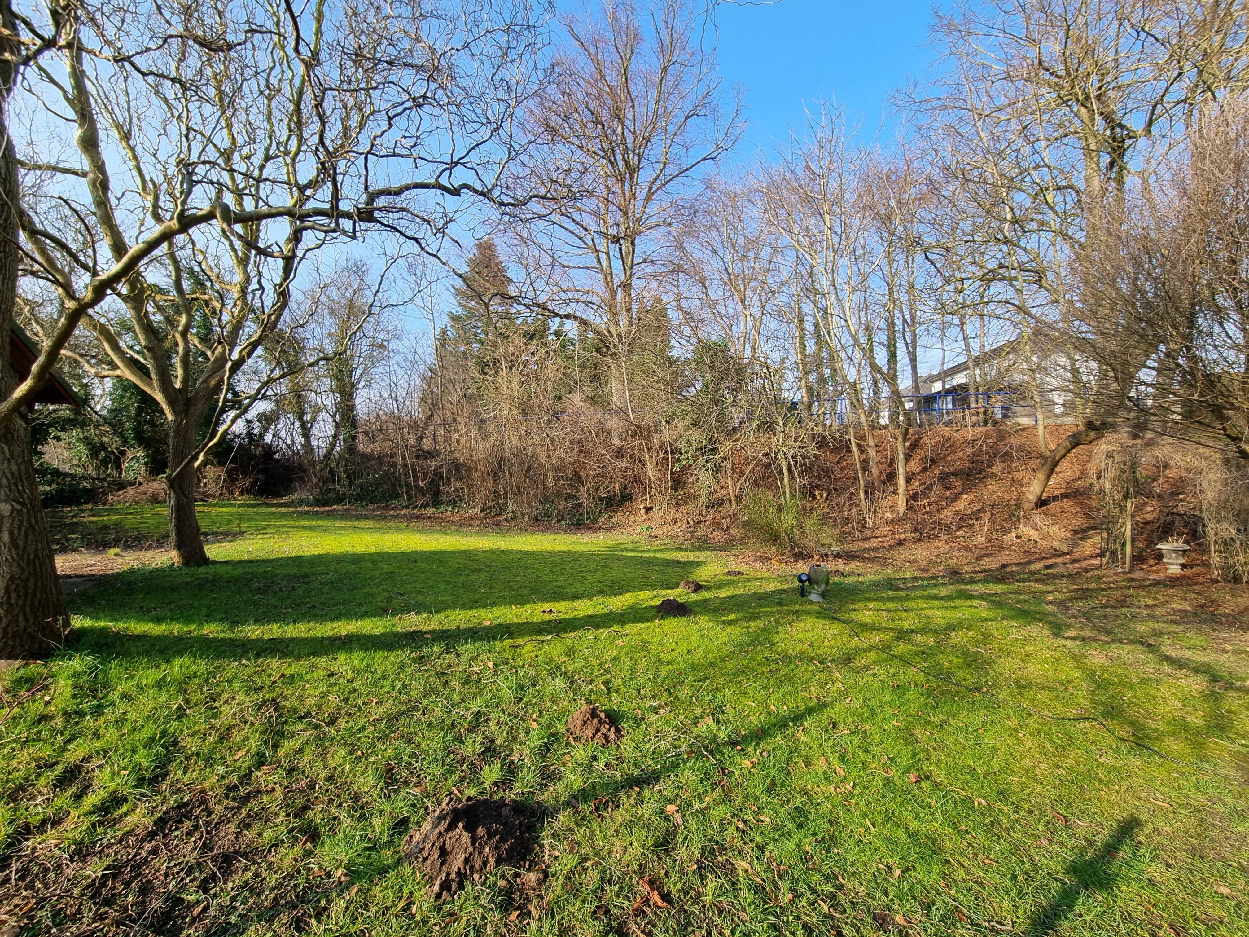 Grundstück zum Kauf 130.000 € 520 m²<br/>Grundstück Bad Doberan Bad Doberan 18209