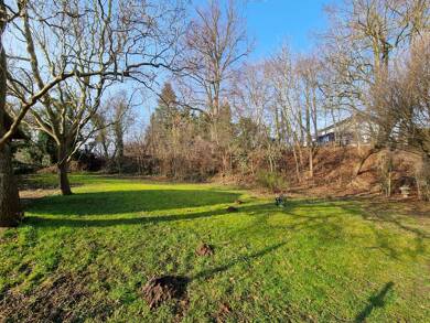 Grundstück zum Kauf 130.000 € 520 m² Grundstück Bad Doberan Bad Doberan 18209