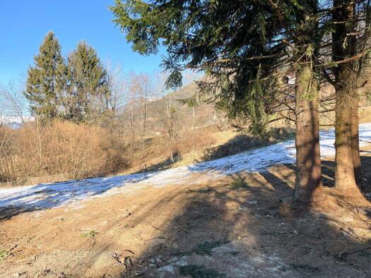 Grundstück zum Kauf 178.000 € 1.047 m² Grundstück Matzelsdorf 9872