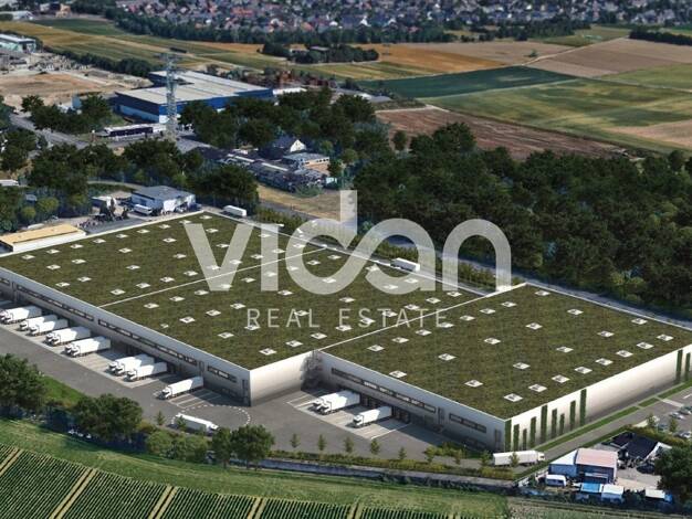 Lagerhalle zur Miete provisionsfrei 32.212 m² Lagerfläche teilbar ab 11.503 m² Stürzelberg Dormagen 41541