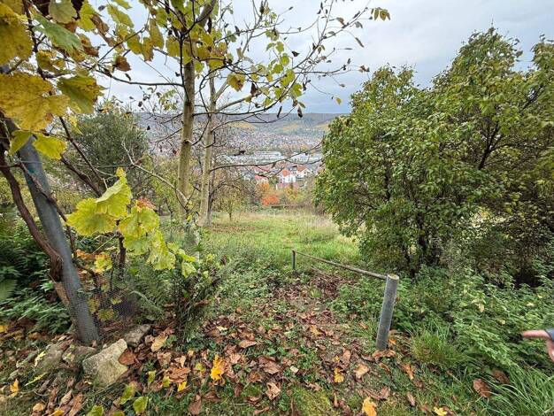 Einfamilienhaus zum Kauf 2,5 Zimmer 70 m² 785 m² Grundstück Beutelsbach Weinstadt 71384