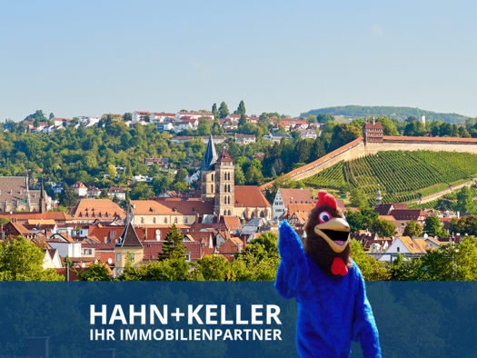 Wohnung zum Kauf 318.000 € 3,5 Zimmer 90 m² Nürtingen 72622