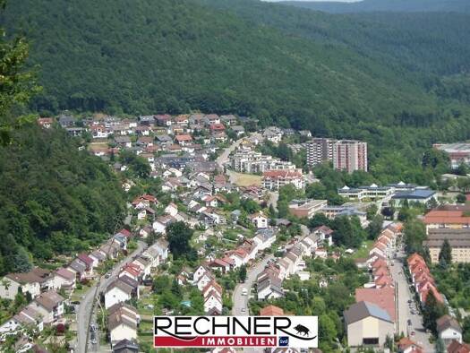 Wohnung zur Miete 520 € 2 Zimmer 56 m² frei ab sofort Eberbach Eberbach 69412