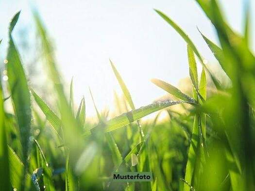 Land-/Forstwirtschaft zum Kauf 42 m² Grundstück Eberbach 69412