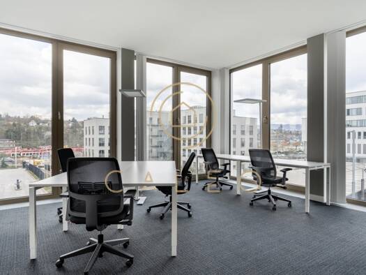 Bürofläche zur Miete provisionsfrei 35 m² Bürofläche teilbar ab 1 m² Wiesbaden Wiesbaden 65189