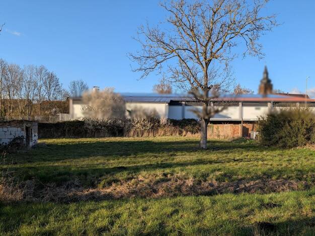 Einfamilienhaus zum Kauf 95.000 € 5 Zimmer 122 m² 3.187 m² Grundstück Gröbzig Südliches Anhalt 06388