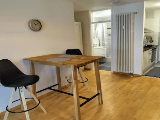 Wohnung zur Miete 550 € 1 Zimmer 35 m² frei ab sofort Bergheim Heidelberg 69115