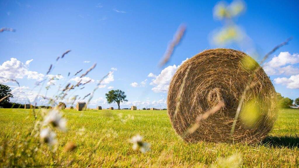 Land-/Forstwirtschaft zum Kauf 54.486 m² Grundstück Kirchenpingarten Kirchenpingarten / Lienlas 95466