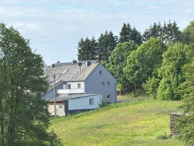 Mehrfamilienhaus zum Kauf provisionsfrei 269.000 € 11 Zimmer 303 m² 4.677 m² Grundstück Steffeln Steffeln 54597
