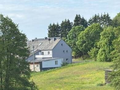 Mehrfamilienhaus zum Kauf provisionsfrei 269.000 € 11 Zimmer 303 m² 4.677 m² Grundstück Steffeln Steffeln 54597